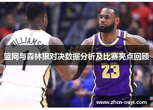 篮网与森林狼对决数据分析及比赛亮点回顾
